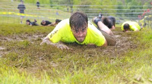 Online Obstacle Training